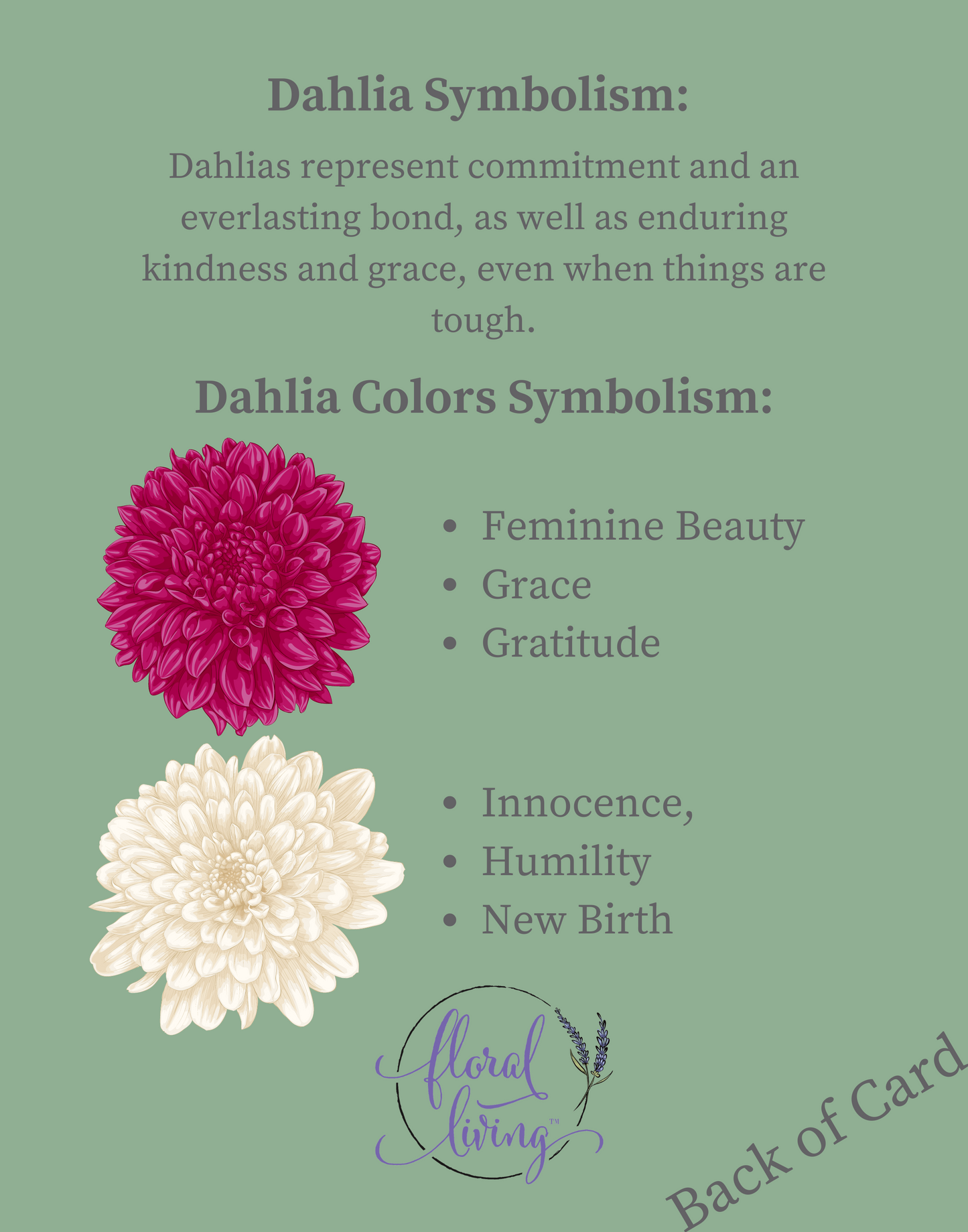 18" Dahlia Wall Basket