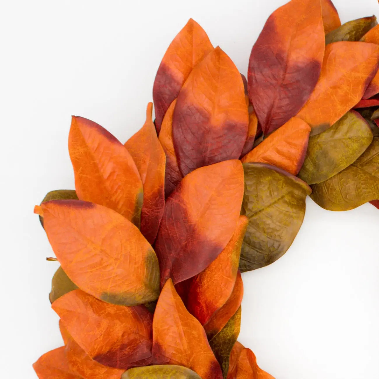 24" Fall Magnolia Wreath Floral Living