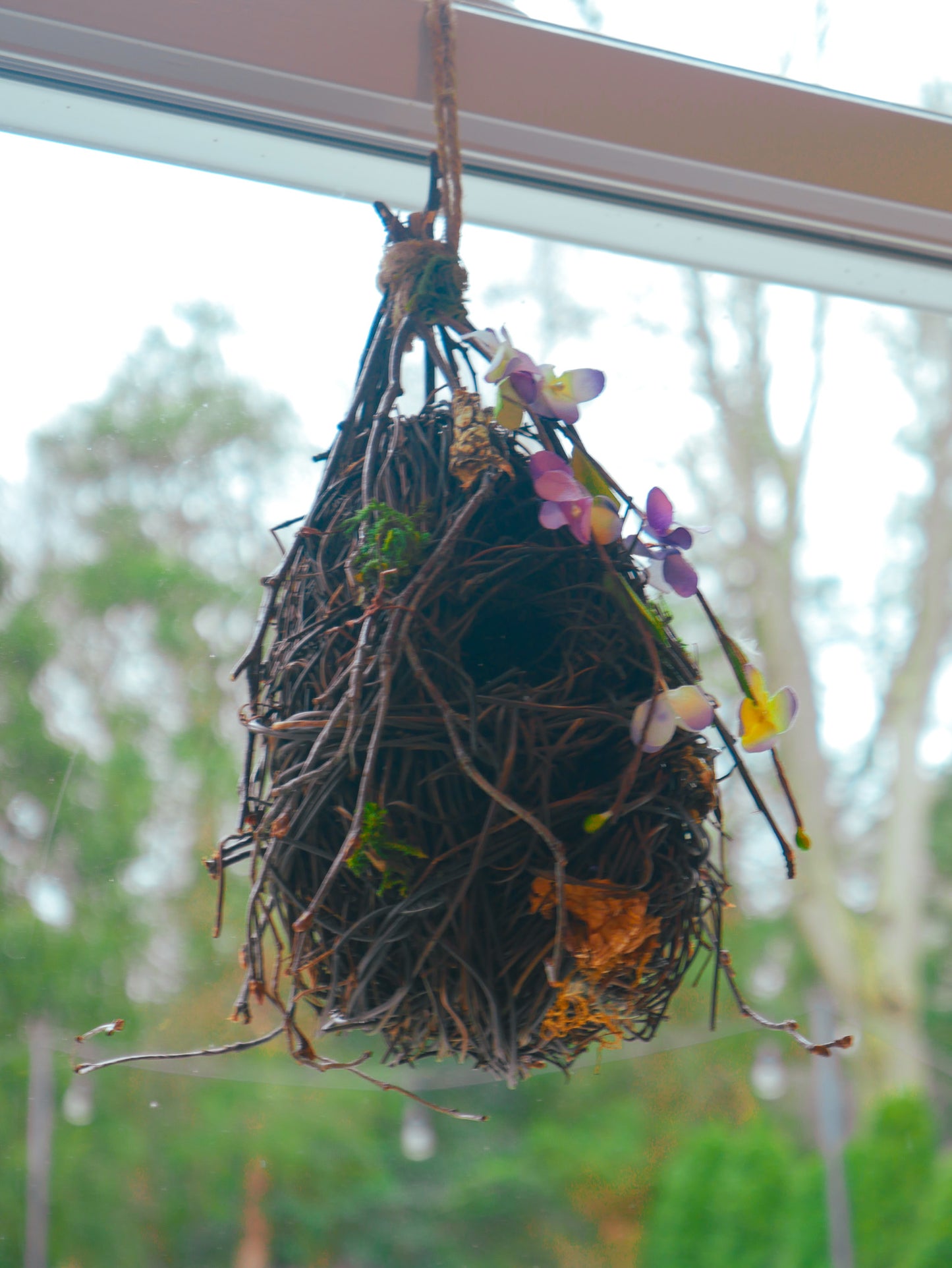 11" Hanging Orioles Nest