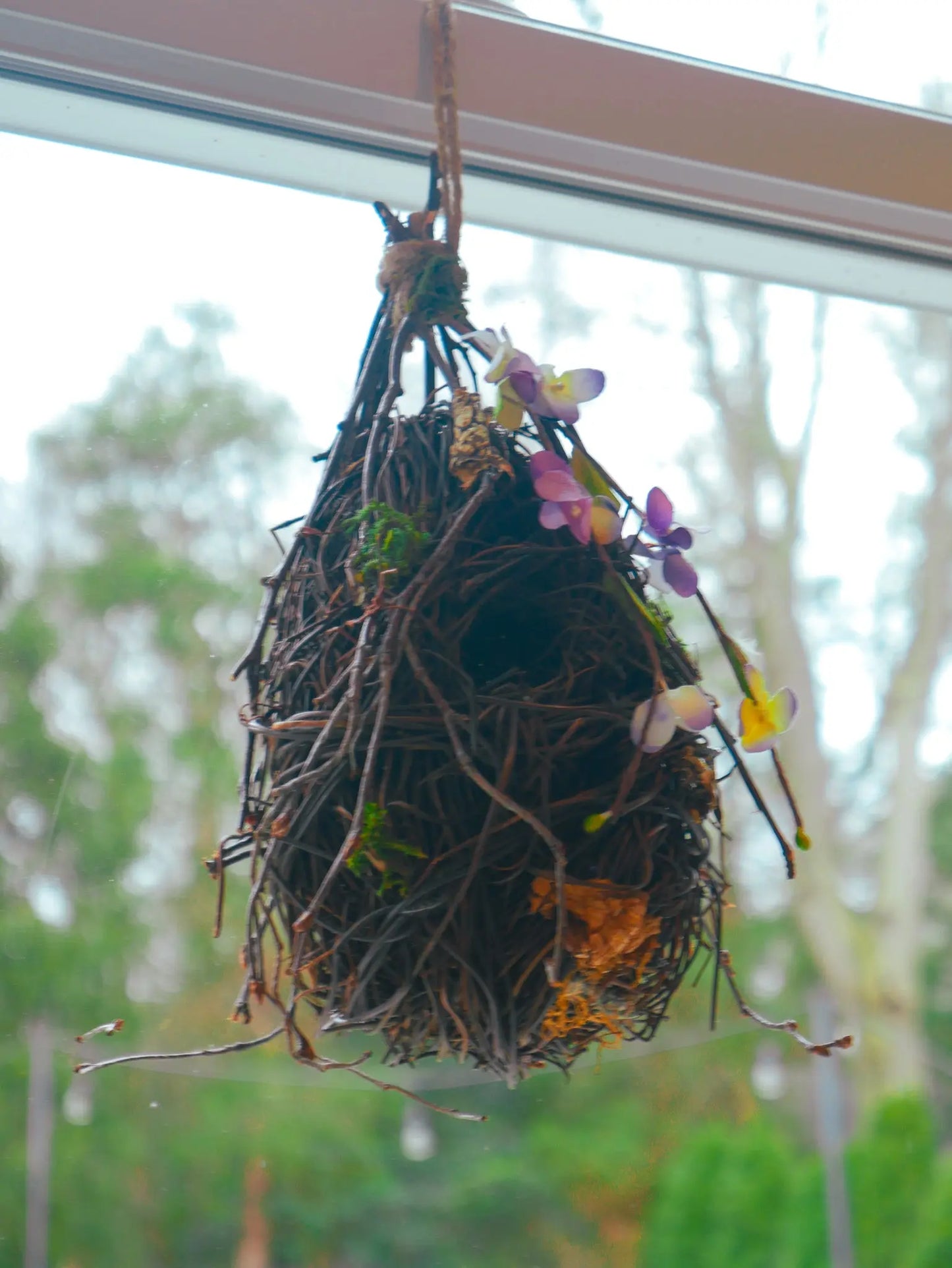 11" Hanging Orioles Nest Floral Living