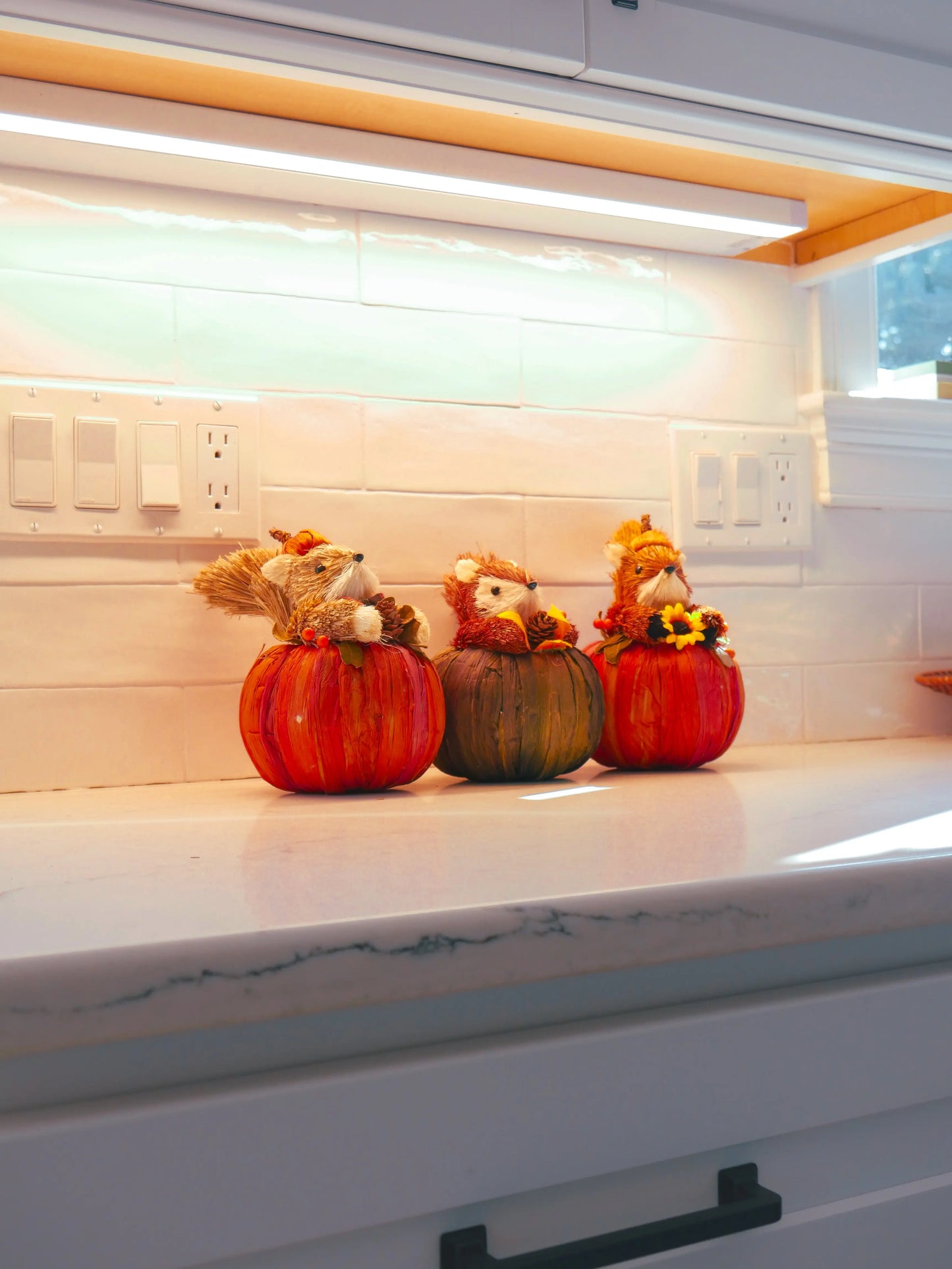 Set of 3 Squirrels in Pumpkins Floral Living