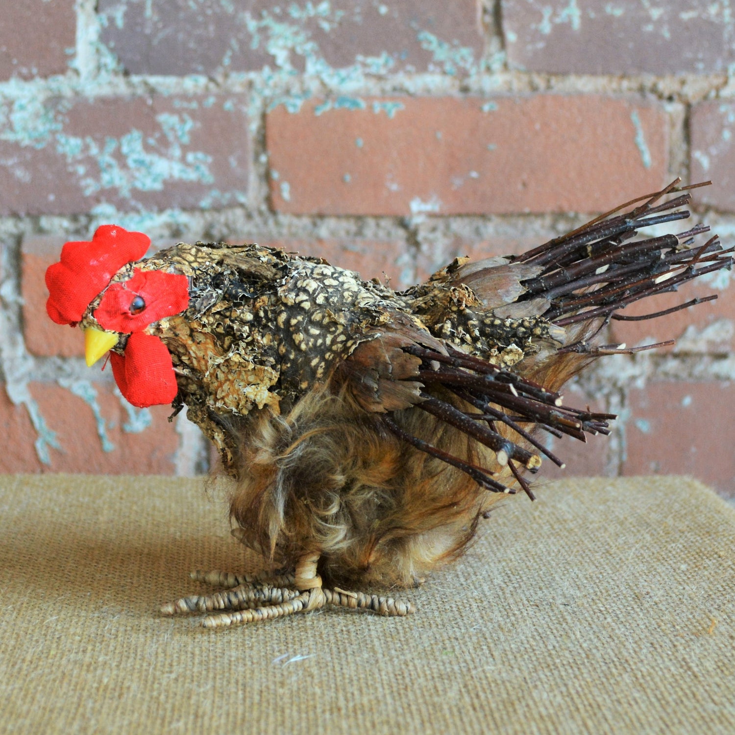 6" Hen