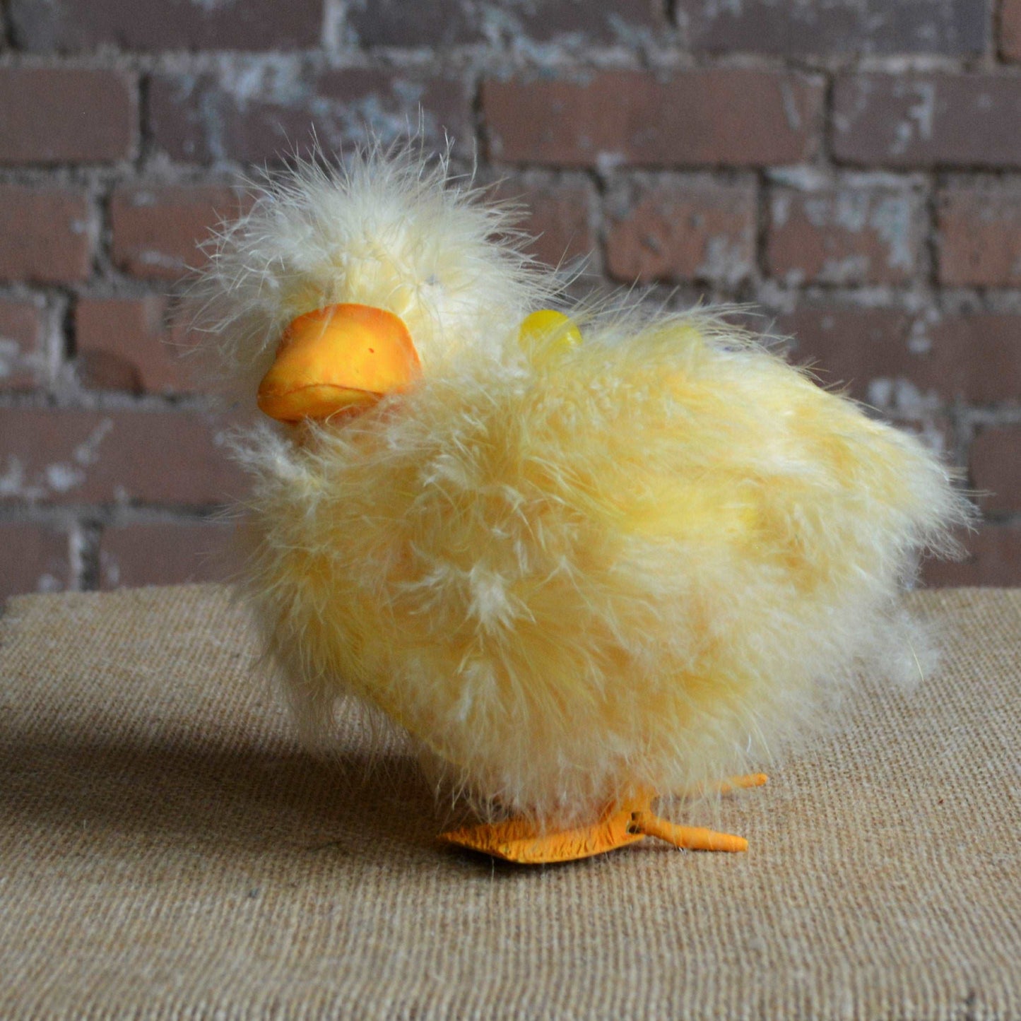 Fuzzy Duck planter