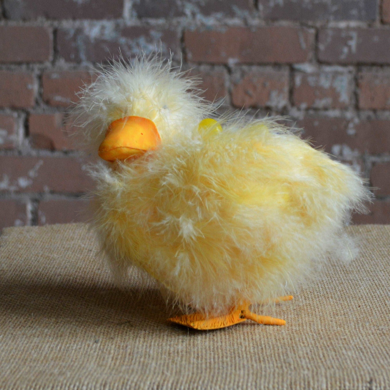 Fuzzy Duck planter