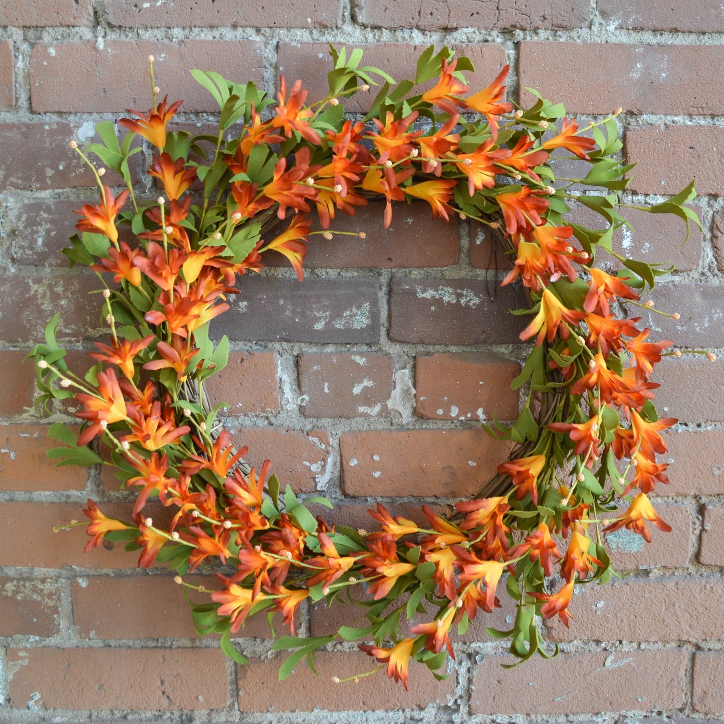Orange Trumpet Vine