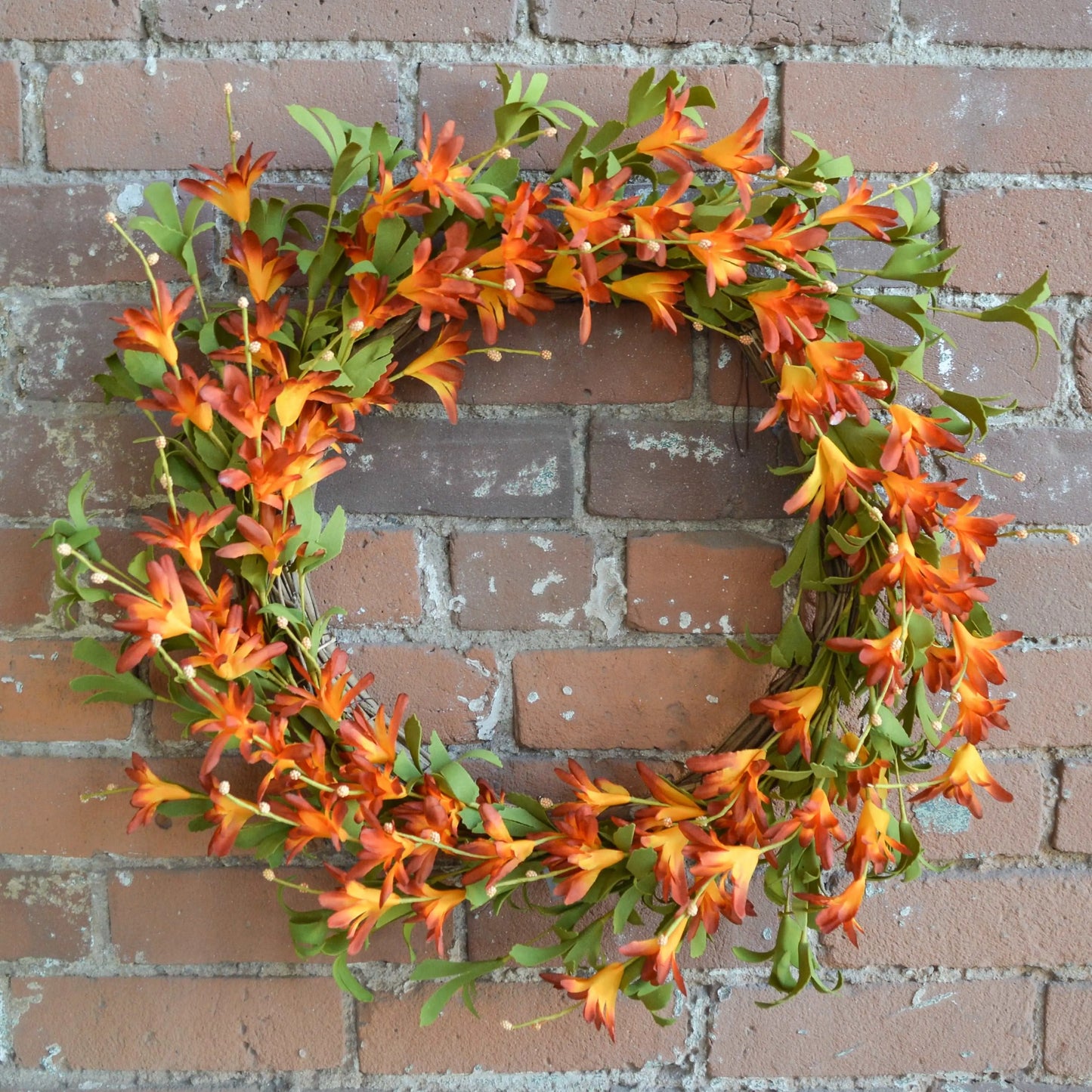 Orange Trumpet Vine