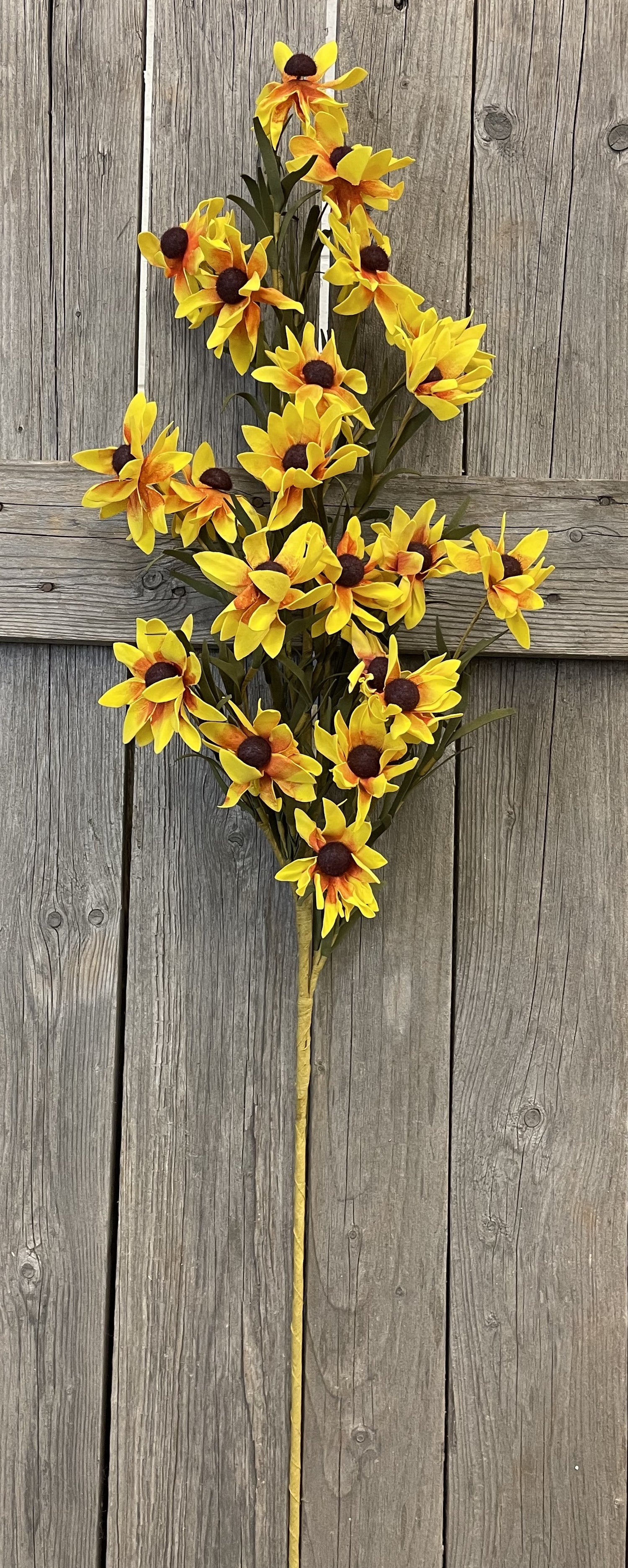 40" Black-eyed Susan Stem