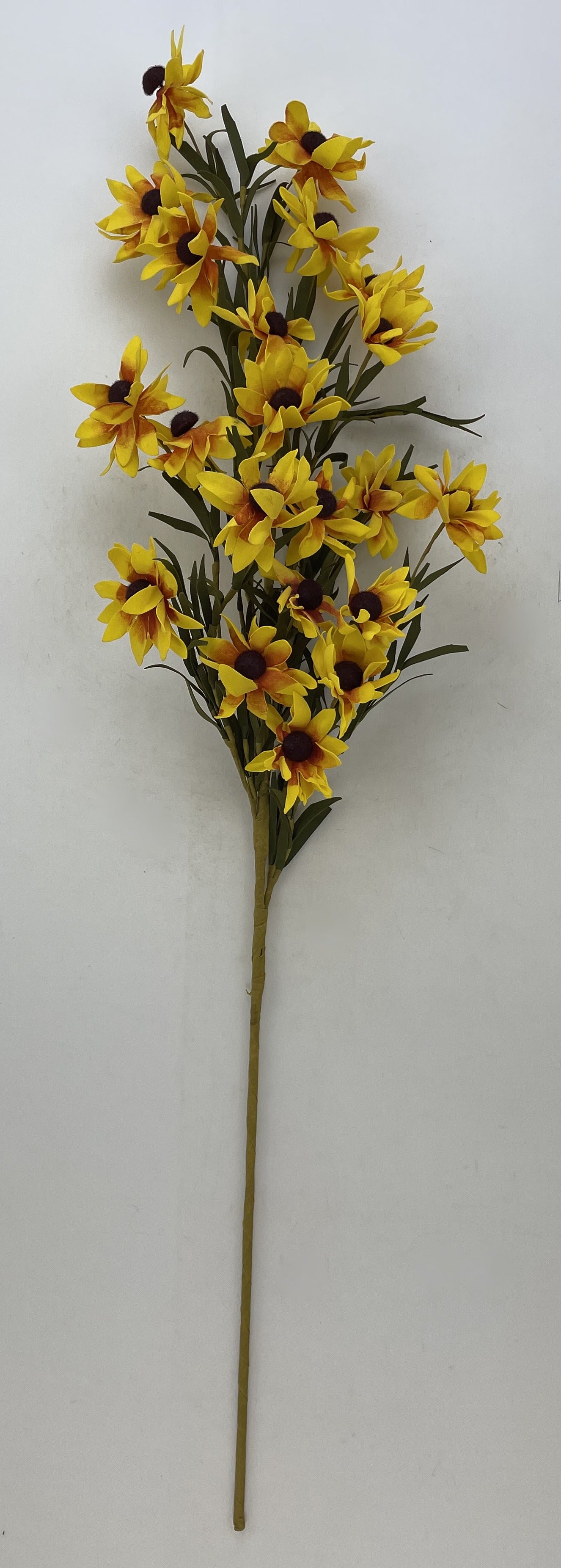 40" Black-eyed Susan Stem 2