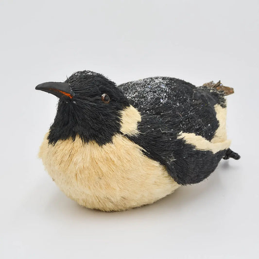 Sliding Black and White Penguin 2