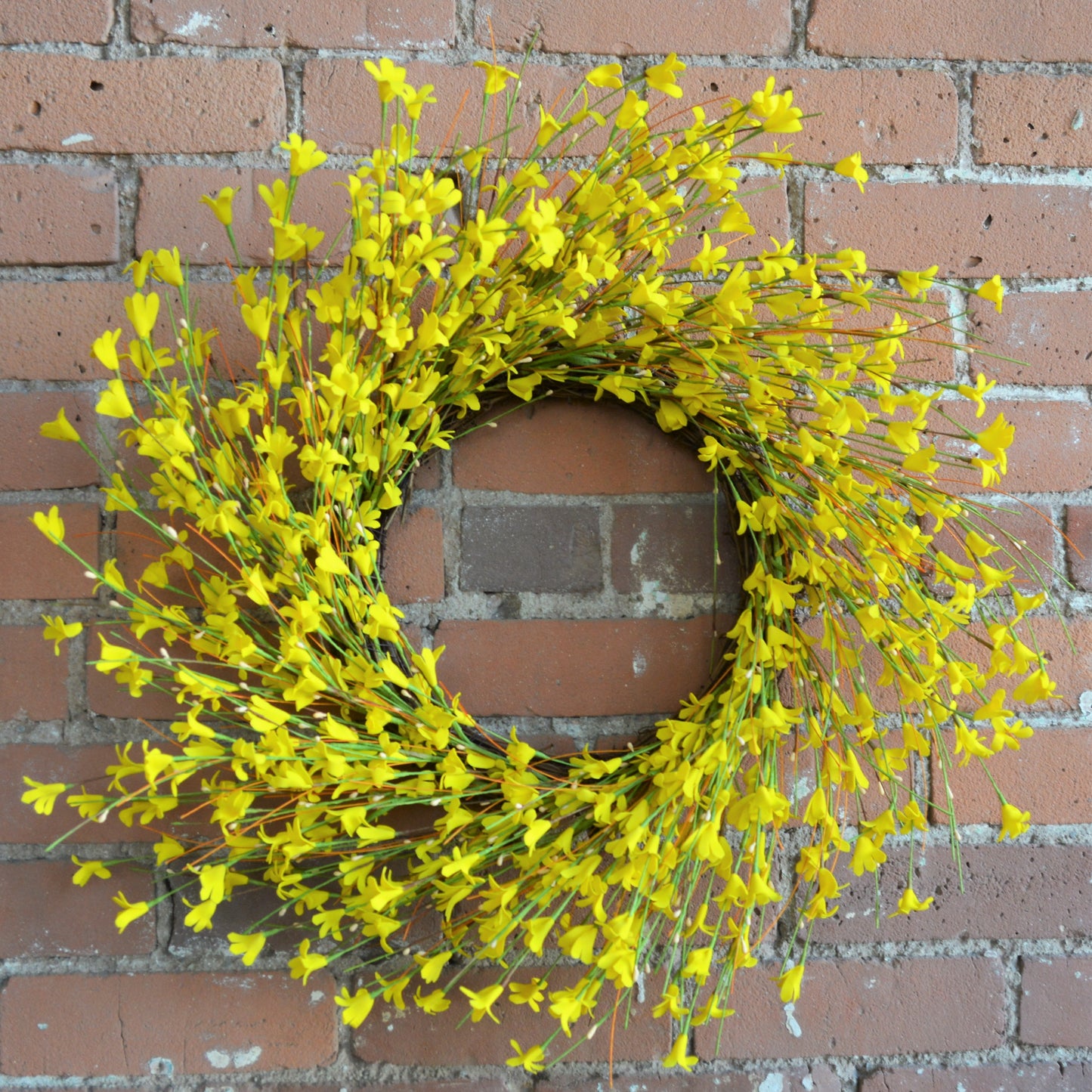 Yellow Forsythia Wreath