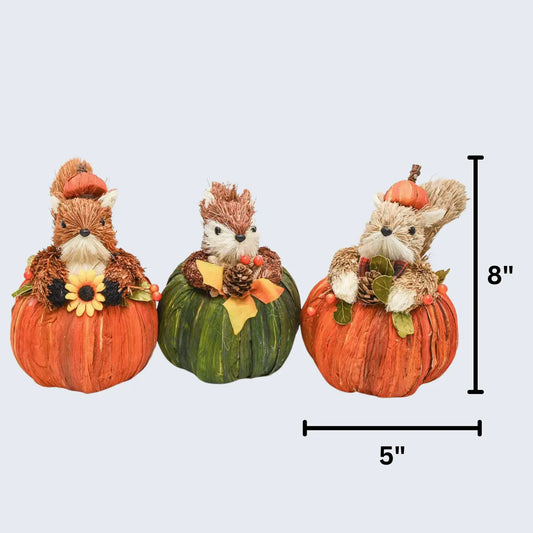 Set of 3 Squirrels in Pumpkins Floral Living