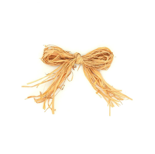 10" Raffia Bow Floral Living