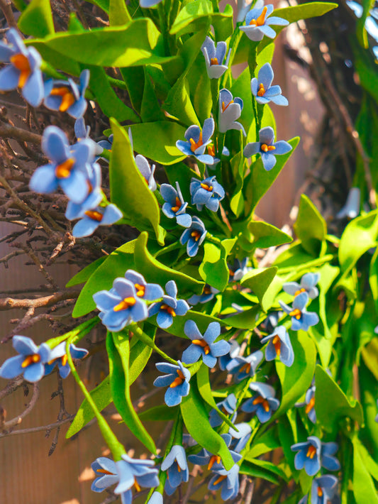 Crafted In the USA. 24" Forget-Me-Not Twig Wreath