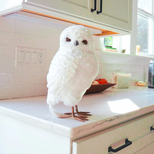 13" White Owl Floral Living