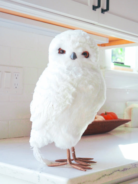 13" White Owl Floral Living