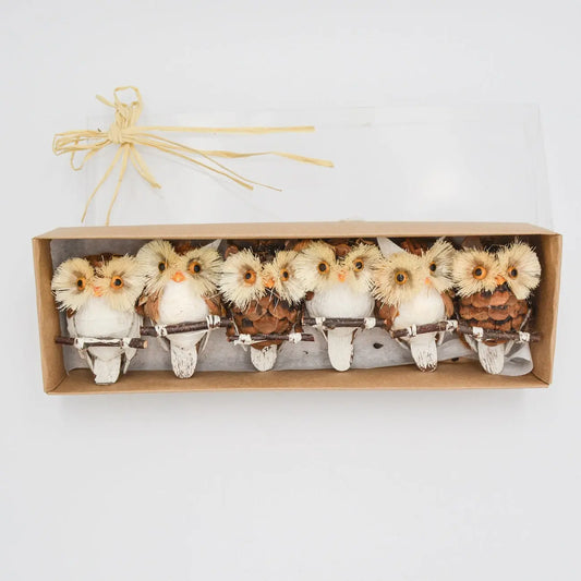 3" Assorted Owl Ornaments in Gift Box Floral Living