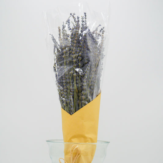 23" Lavender Bundle