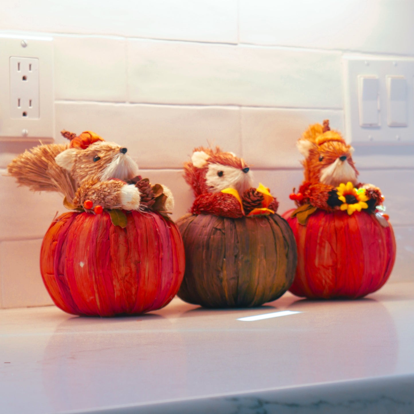 Set of 3 Squirrels in Pumpkins