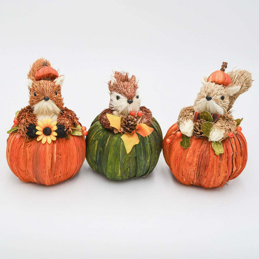 set of squirrels in pumpkin