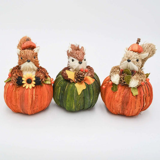 set of squirrels in pumpkin