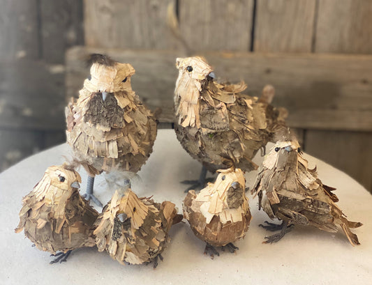 Birch Quail Set