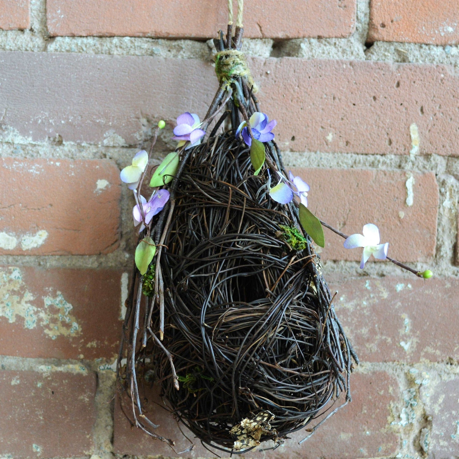Hanging Baltimore Orioles Nest