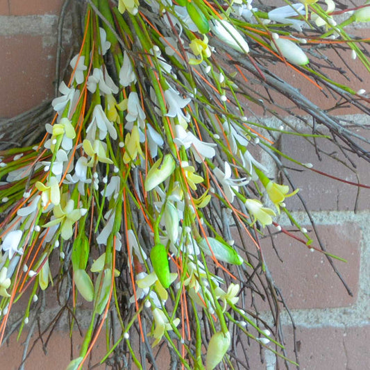White Forsythia Bud Twig Wreath3