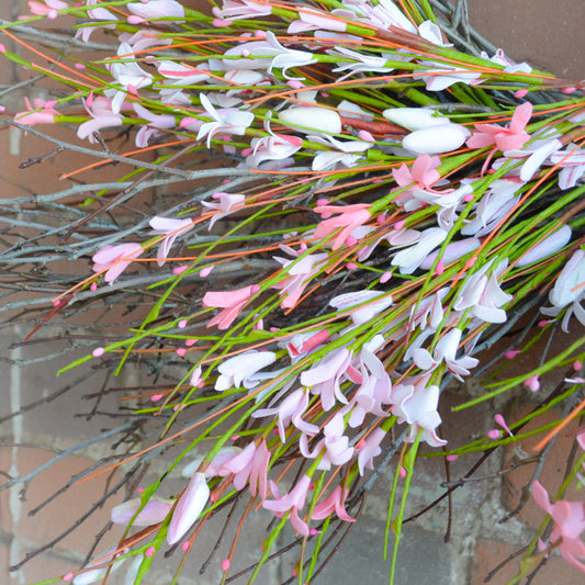 24" Pink Forsythia Bud Twig Wreath
