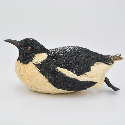 Sliding Black and White Penguin