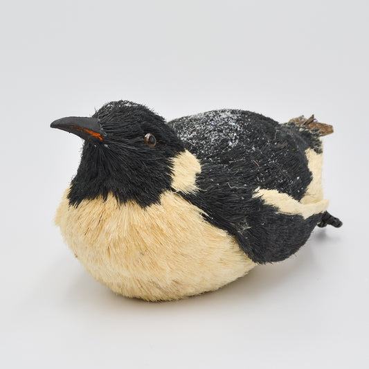 Sliding Black and White Penguin 2