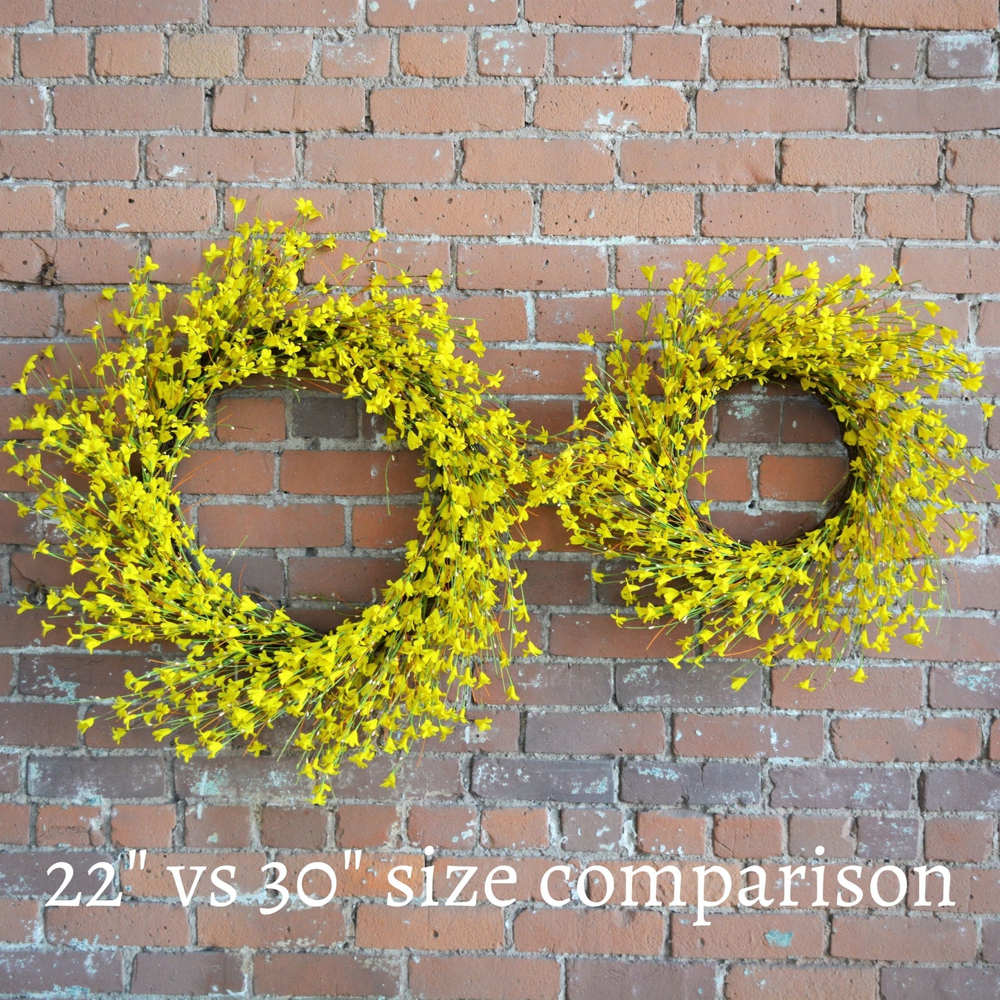 22" Yellow Forsythia Wreath