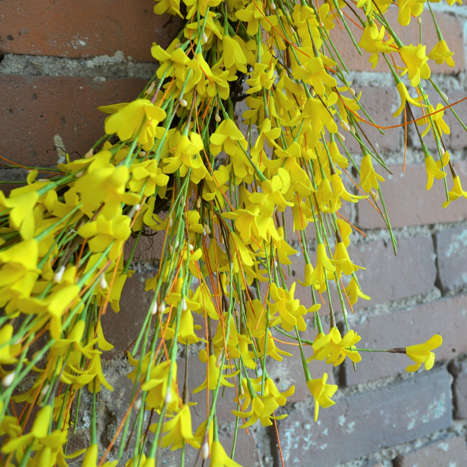 Yellow Forsythia Wreath 2