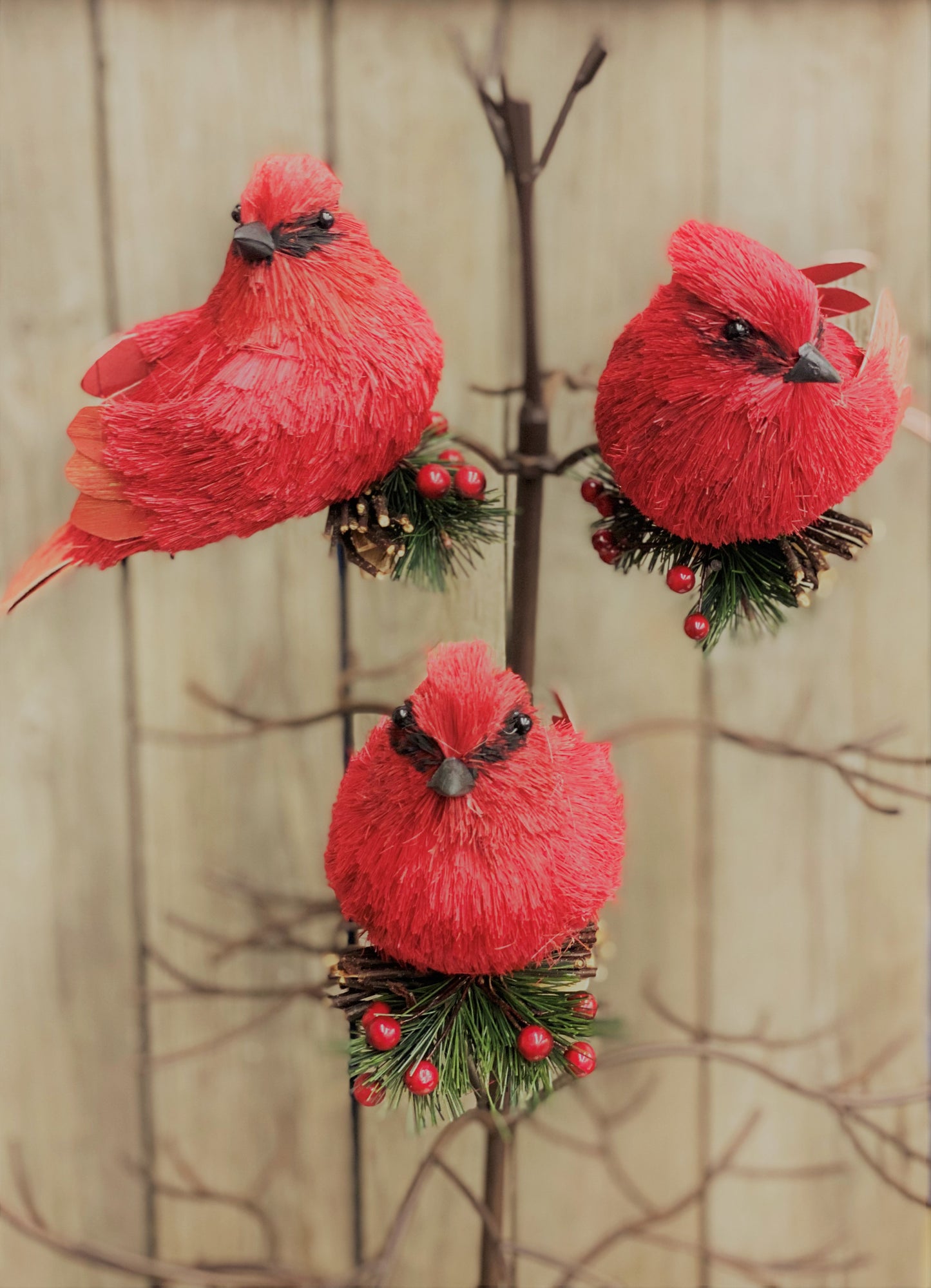 Cardinal ornaments 4